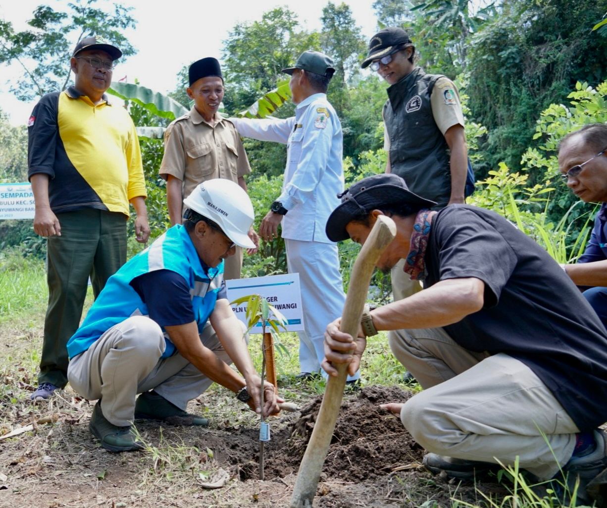 Jaga Kelestarian Lingkungan, PLN Dukung Gerakan Gotong Royong Boyong Pohon Bersama BUMN