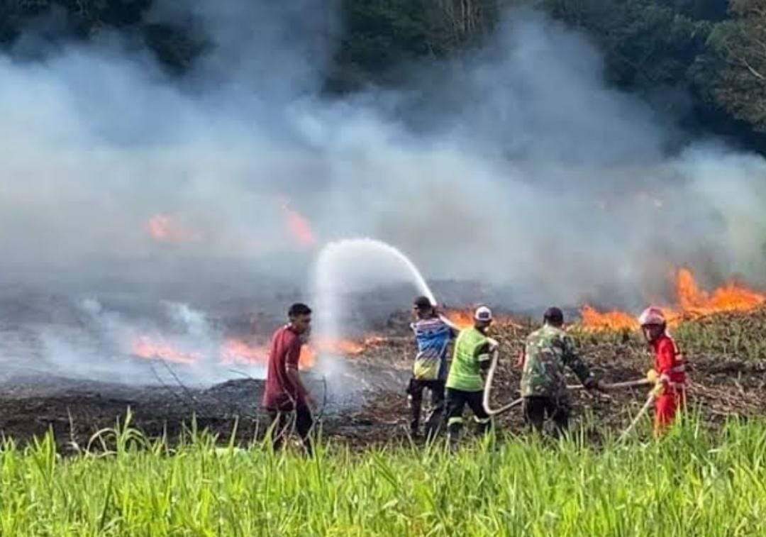 Kebakaran di Sungai Raya Inhu, Berhasil Dipadamkan Lewat Jalur Udara dan Darat