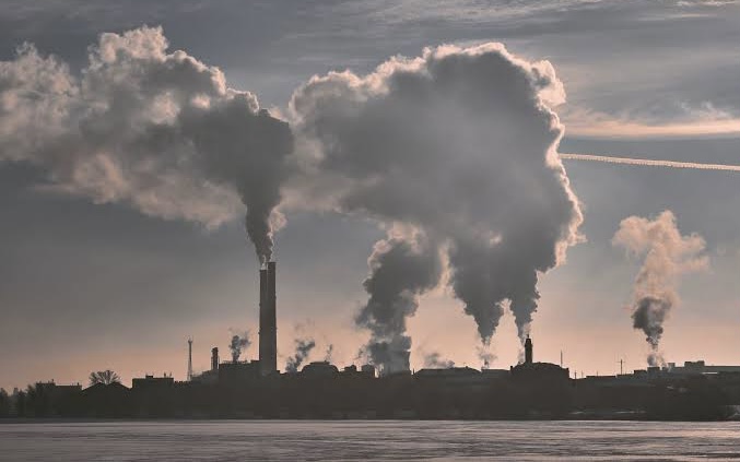 Lagi Panas-panasnya, WTO Kawal Penetapan Harga Karbon