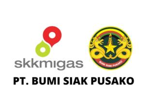 PT Bumi Siak Pusako Dukung Pelaksanaan Youth Digital Riau Forum