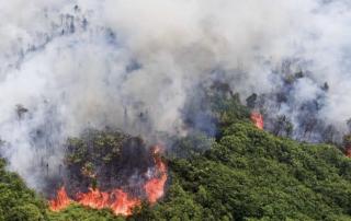 Disapu Hujan Deras, Titik Panas di Riau Sore Ini Nihil