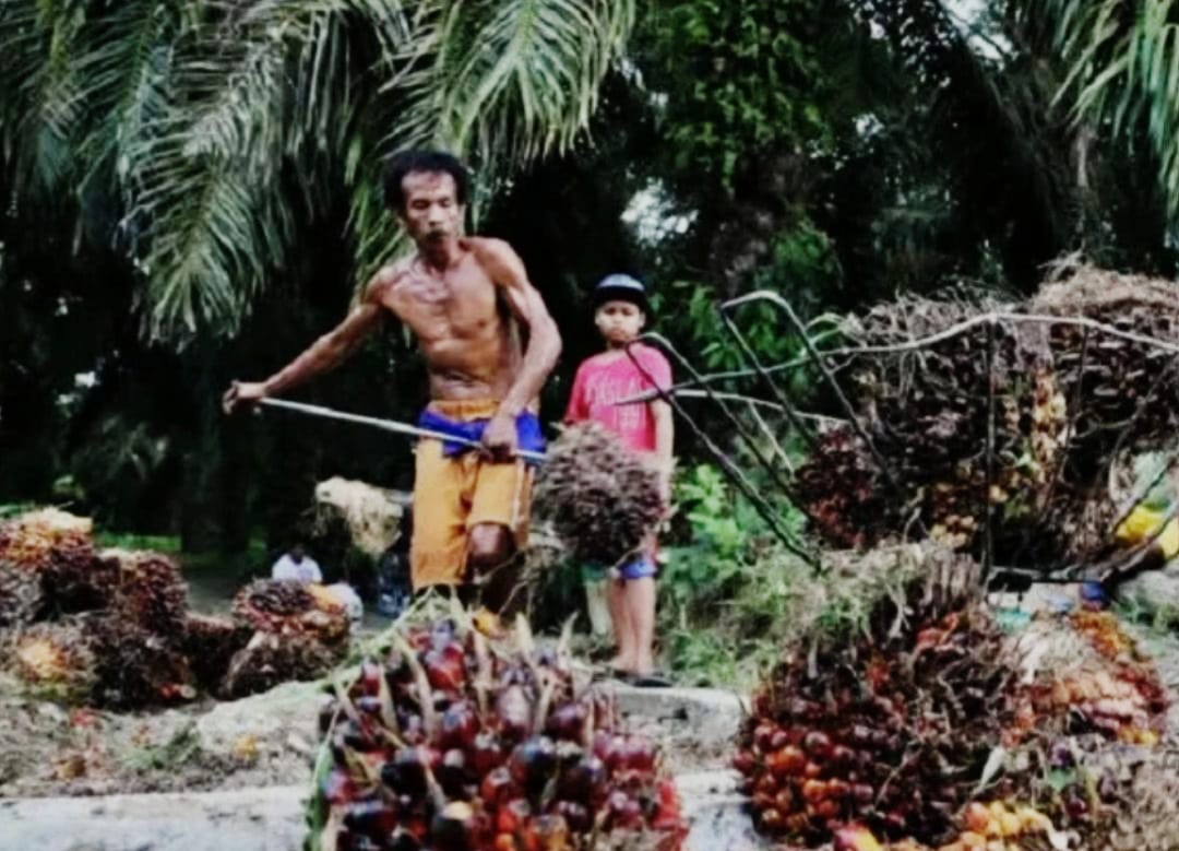 Upah Buruh Riau 2024 Cuma Naik Rp 102 Ribu: Ini Perbudakan Modern, Pekerja Justru Mensubsidi Konglomerat Pengusaha!