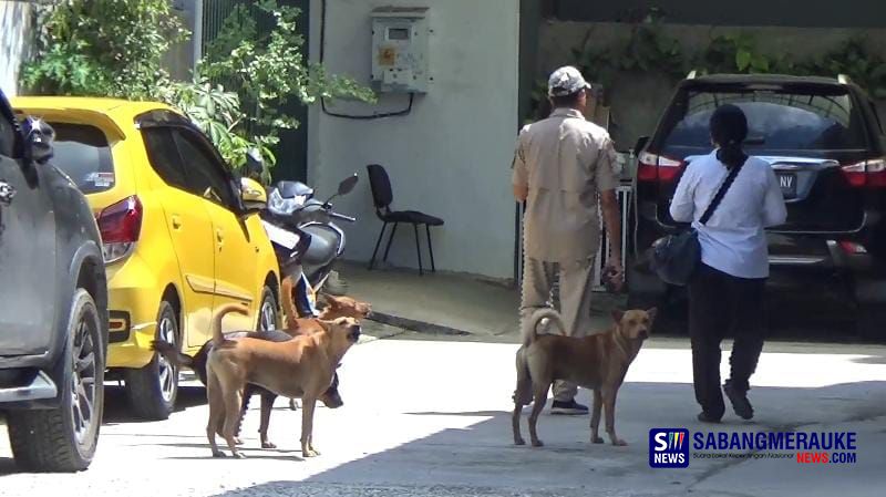 4 Ekor Anjing Serang Warga Pekanbaru, Dibiarkan Berkeliaran oleh Pemiliknya