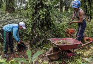 Upah Buruh Riau 2024 Cuma Naik Secuil Rp 102 Ribu, Apa Kabar Serikat Pekerja dan Wakil Rakyat?