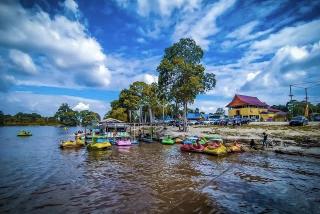 Pesona Menakjubkan Danau Tajwid Pelalawan, Tawarkan Pemandangan di Tengah Hamparan Pepohonan Besar