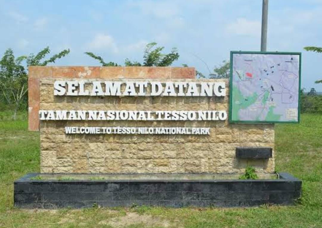 Sudah Inkrah Tapi Menteri LHK Dkk Belum Hentikan-Proses Hukum Kebun Sawit 1.200 Hektare di TNTN, Yayasan Riau Madani Resmi Ajukan Permohonan Eksekusi