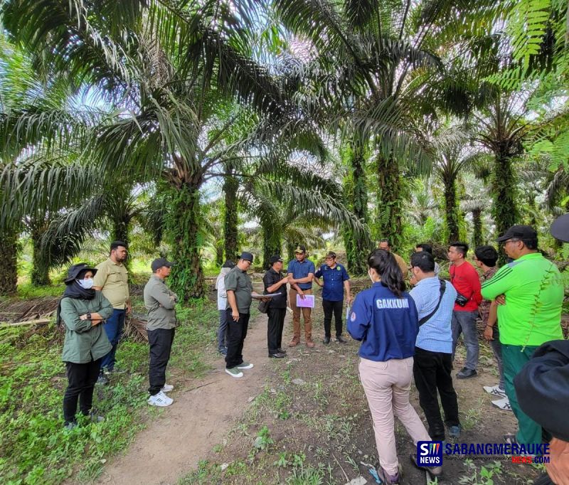 PTUN Pekanbaru Panggil Yayasan Riau Madani Bahas Eksekusi Putusan Kebun Sawit 1.200 Ha di Hutan Konservasi TNTN, KLHK Belum Buka Suara