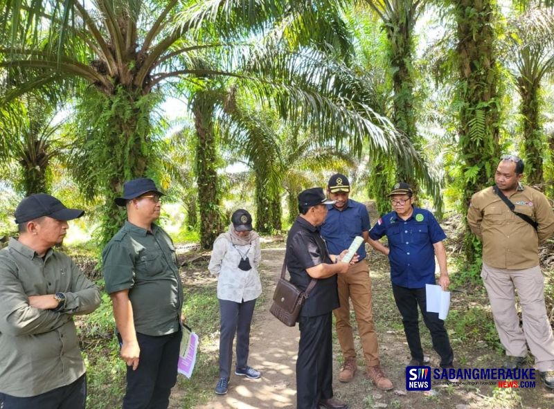 Menggugat Ulang Kesungguhan Menteri LHK Siti Nurbaya di Hutan Konservasi Taman Nasional Tesso Nilo