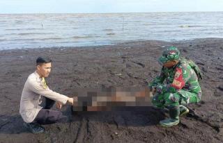 Hilang saat Cari Ikan di Laut, Nelayan di Bengkalis Ditemukan Tewas