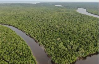 Rencana Aksi Kelompok Kerja Mangrove Daerah Provinsi Riau Diharapkan Segera Disahkan Jadi Peraturan Gubernur, Ini Acuannya