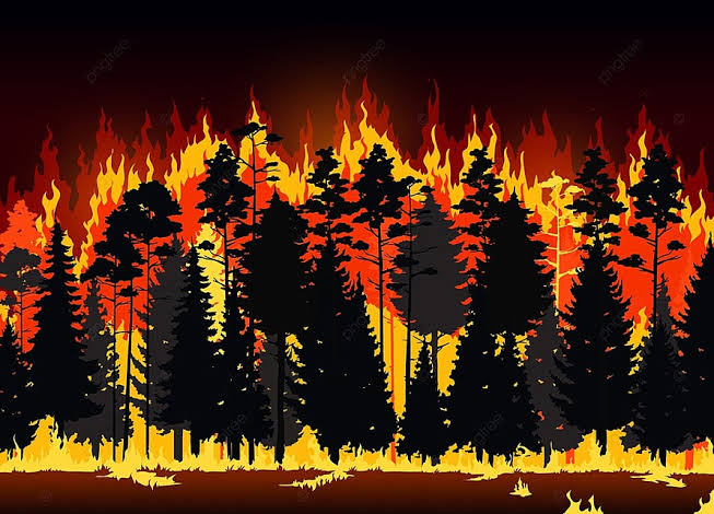Sepanjang Tahun 2023, Ada 2.532 Ha Lahan di Riau yang Terbakar