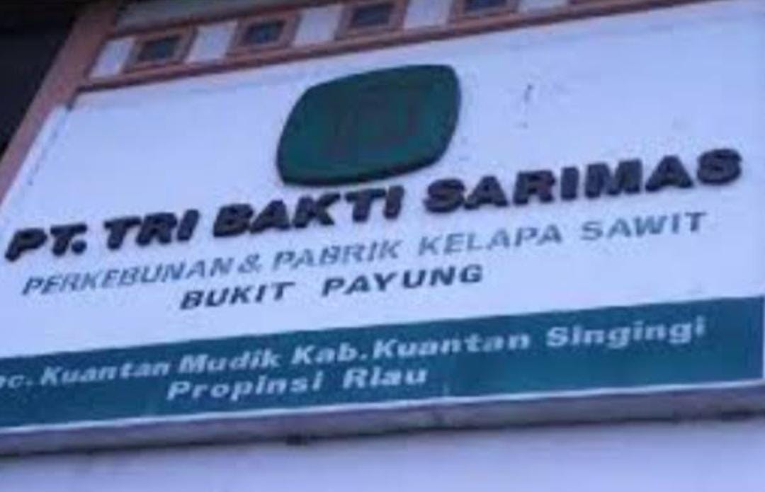 Profil PT Tri Bakti Sarimas, Perusahaan Pemilik Kebun Sawit di Kuansing Laku Dilelang BRI Rp1,9 Triliun Berujung Gugatan Hukum