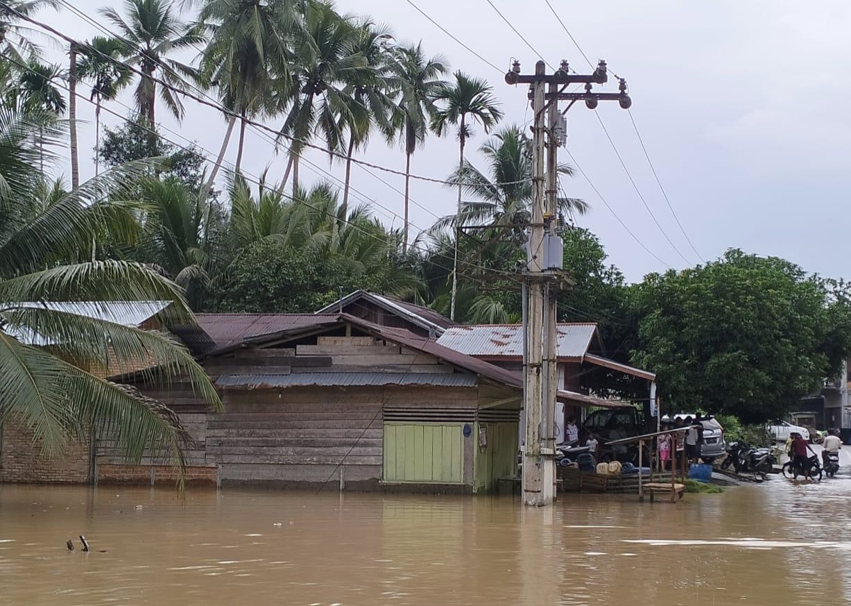 Antisipasi Terjadinya Kecelakaan, PLN Mulai Matikan Listrik di Daerah Terdampak Banjir 