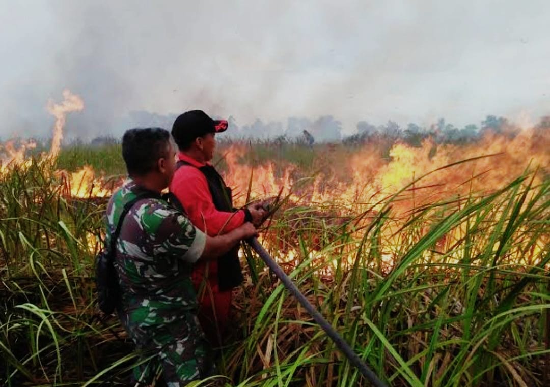 Wow! Perusahaan Sawit di Riau Ini Gugat Profesor IPB ke Pengadilan, Diduga Gara-gara Beri Keterangan Ahli di Kasus Kebakaran Lahan