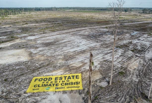 Organisasi Lingkungan Bantah Klaim Gibran Soal Panen Food Estate: Gak Pernah Panen, Cuma Hutan Dibabat!
