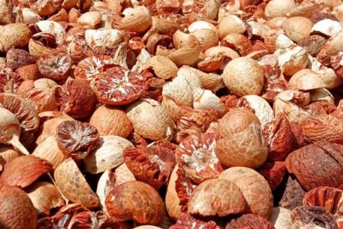 Harga Pinang Kering di Riau Alami Kenaikan Pekan Ini