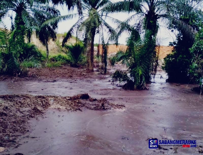 Tok! Bos Pabrik Sawit PT SIPP di Bengkalis Divonis 1 Tahun Penjara Kasus Pencemaran Lingkungan, PT Pekanbaru Anulir Hukuman Percobaan