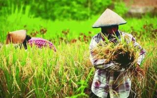 Sepanjang Desember 2023, NTP Riau Naik 1,27 Persen 