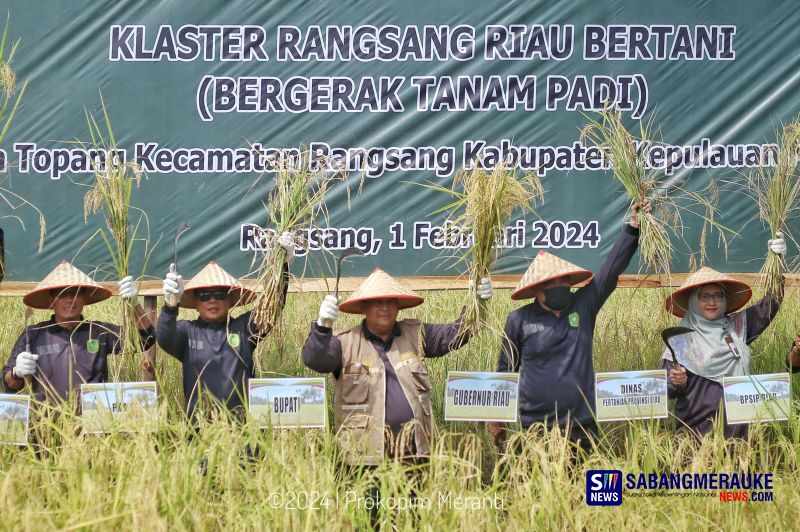 Kepulauan Meranti Jadi Kabupaten dengan Produksi Padi Tertinggi di Provinsi Riau Tahun 2023