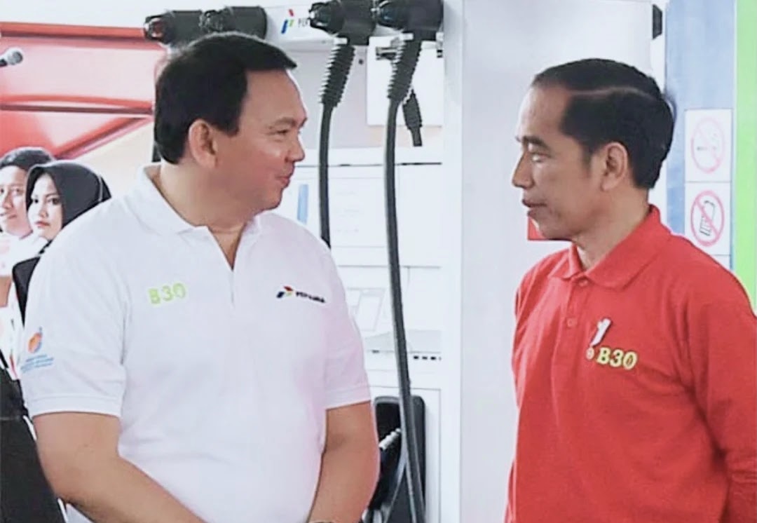 Heboh Pernyataan Ahok: Emang Jokowi Bisa Kerja?
