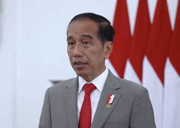 Bertemu Surya Paloh, Jokowi Blak-blakan Ingin Jadi Jembatan Partai-partai