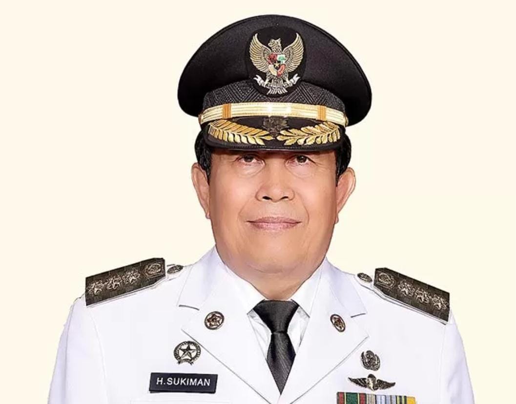Bupati Rohul Sukiman Dkk Gugat Pilkada Serentak 2024 ke Mahkamah Konstitusi, Masa Jabatannya Terpotong 1 Tahun