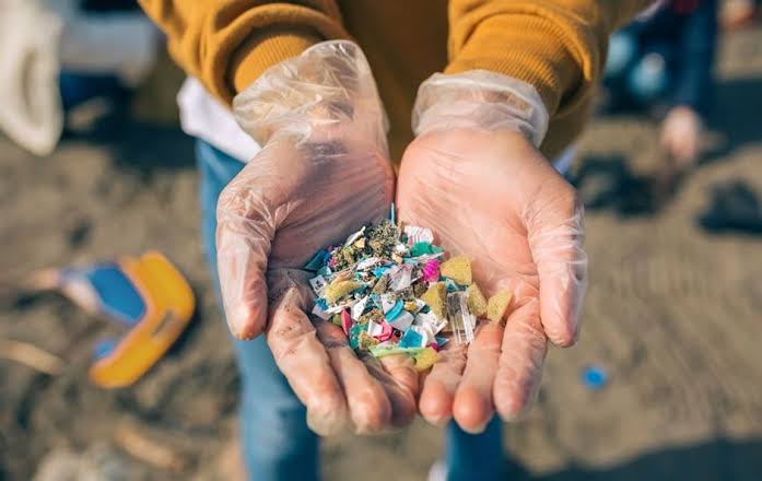 Waduh! Hampir 90% Daging Sapi dan Ayam Mengandung Mikroplastik