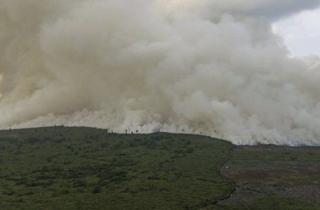 Kebakaran Hutan 2,5 Hektare di Rohil dan Dumai Berhasil Dipadamkan Petugas Gabungan