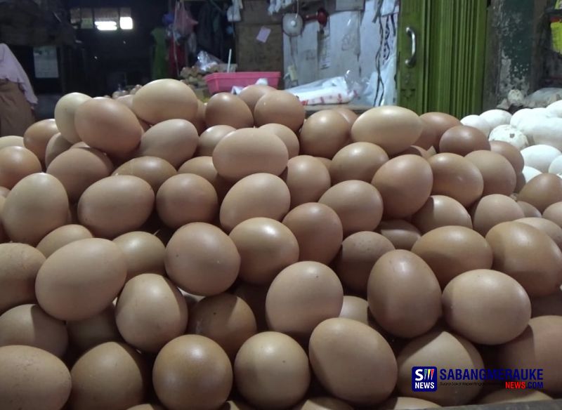 Jelang Ramadan 1445 H, Harga Telur Ayam di Pekanbaru Tembus Rp62 Ribu Per Papan