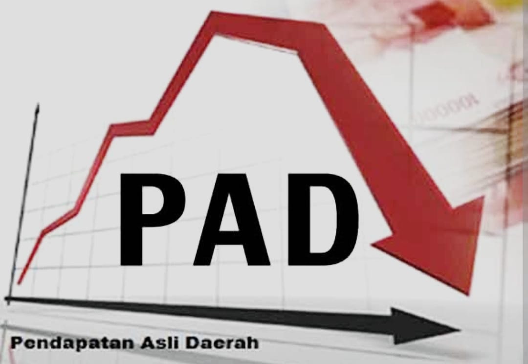 Mewah Belanja Pegawai Tapi Tak Pintar Cari PAD, Ini Data Lengkap PAD 12 Kabupaten/ Kota dan Provinsi Riau 2024