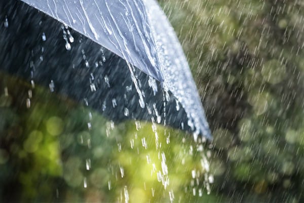 Pekanbaru Masih Berpotensi Diguyur Hujan dengan Intensitas Ringan Hingga Lebat Hari Ini