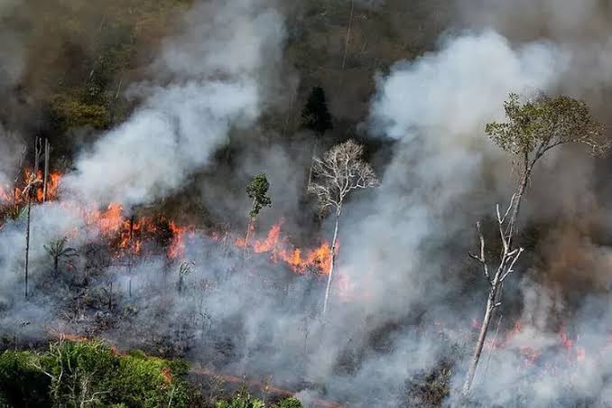 Dumai dan Bengkalis Tetapkan Status Siaga Darurat Karhutla