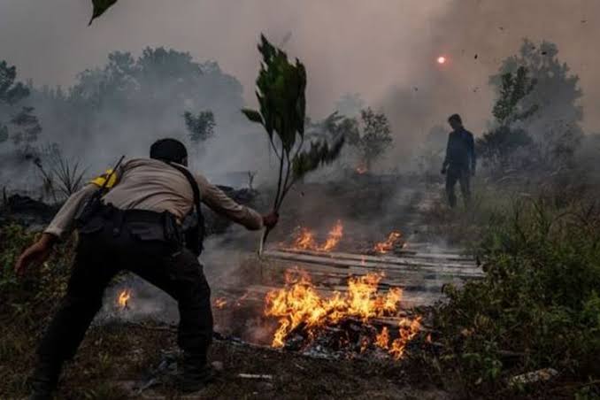 Pemprov Riau Resmi Tetapkan Status Siaga Darurat Karhutla Tahun 2024