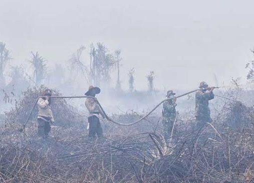 15 Hektare Lahan di Pelalawan Terbakar, Polisi Tempuh Waktu 8 Jam Lewati Sungai dan Hutan