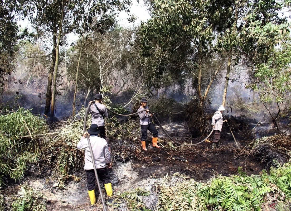 Riau Diterjang Kebakaran Lahan, Polda Amankan 4 Pelaku Karhutla