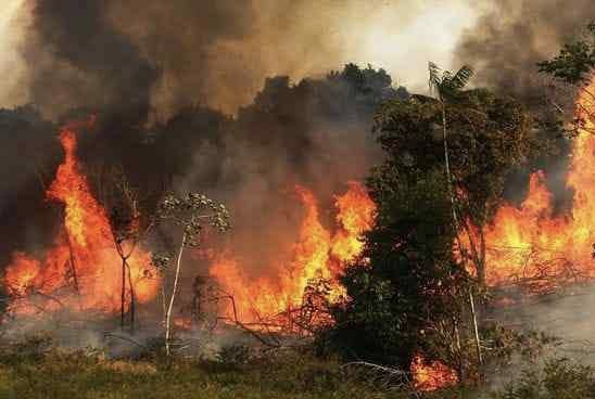 Kebakaran Hutan dan Lahan di Bengkalis Capai 34,33 Hektare