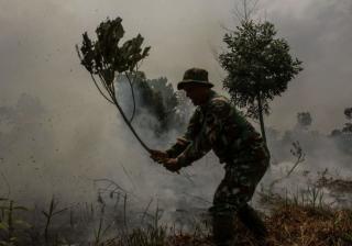 4 Daerah di Riau Tetapkan Siaga Darurat Karhutla, Bantuan Helikopter Masih Proses