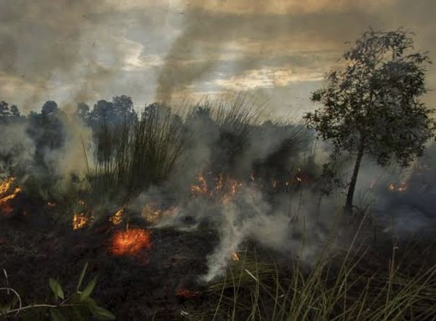 Sebagian Wilayah Diguyur Hujan Sejak Malam Takbiran, Riau Nihil Karhutla Selama Libur Lebaran