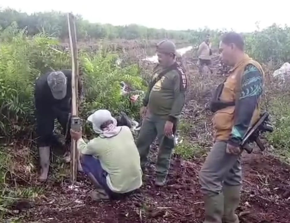 Pekerja Perusahaan Tewas Diterkam Harimau, BBKSDA Riau Pasang 5 Kamera Trap