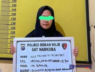 Nekat Jual Sabu, IRT di Rohil Diciduk Polisi