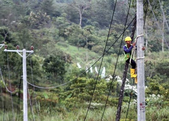 Ratusan Kepala Keluarga di Dua Dusun Terpencil Inhil Kini Bisa Nikmati Listrik PLN 24 Jam