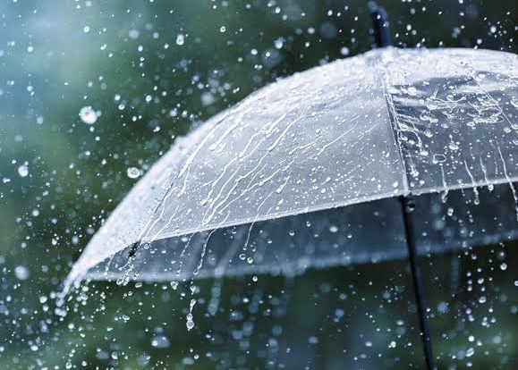 Prakiraan Cuaca Riau Hari Ini Minggu 23 Juni 2024: Siang Ini Hujan
