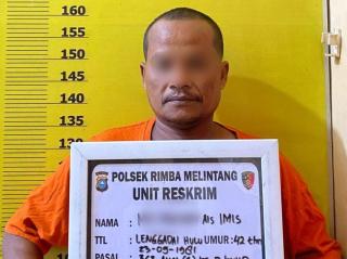 Terekam CCTV, Pria Pencuri Amplifier Mushala di Rohil Ditangkap Polsek Rimba Melintang