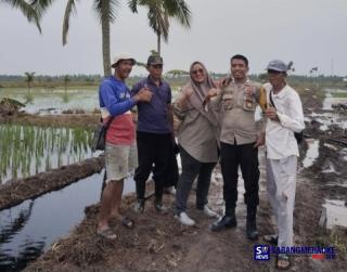 Rahmadiah, Sosok Penyuluh Pertanian Penginspirasi Perubahan di Desa Sendaur untuk Tanam Padi IP 200