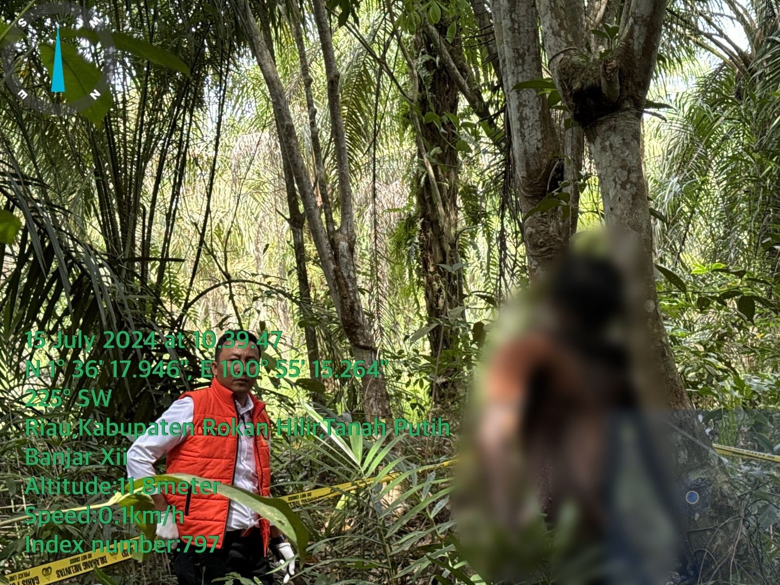 Identitas Mayat Tergantung di Pohon Karet Belum Terungkap, Polres Rohil Himbau Warga yang Kehilangan Saudara Segera Melapor