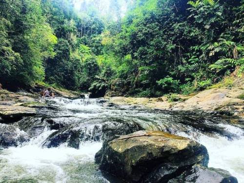 Sensasi Berkemah di Lubuk Totok Kabupaten Kampar, Nikmati Udara Segar dan Jernihnya Sungai