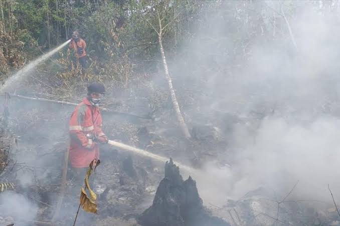 5 Hektare Lahan di Siak Terbakar, Helikopter Bom Air Dikerahkan