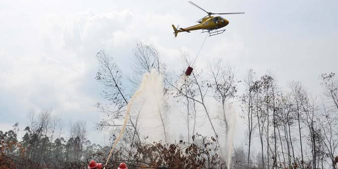 Lebih 300 Hektare Lahan Terbakar di Indragiri Hulu, Helikopter Water Bombing Dikerahkan