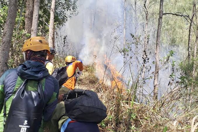 Ruwetnya Pemadaman Karhutla di Rokan Hulu, Petugas Sampai Gendong Kantongan Air