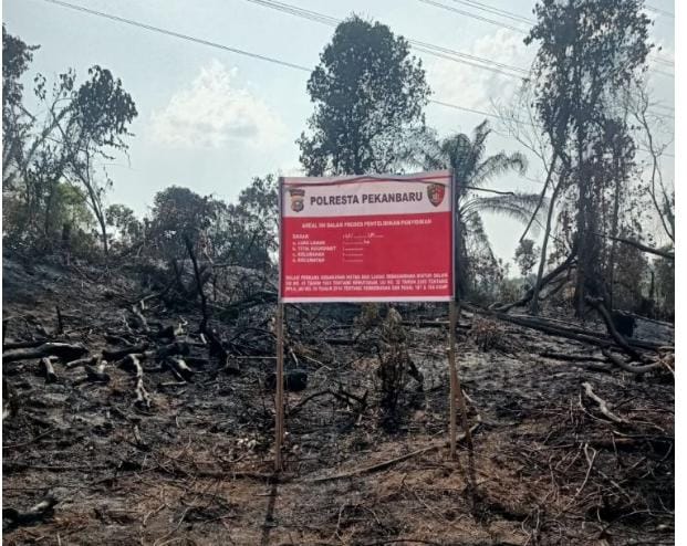 Sengaja Bakar Lahan Milik PT Pertamina Hulu Rokan Untuk Ditanami Sayur, Polisi Tangkap Petani di Rumbai Bukit Pekanbaru
